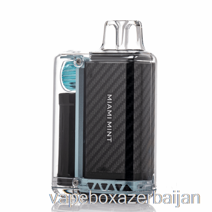 Vape Smoke VOZOL Vista 16000 Disposable Miami Mint